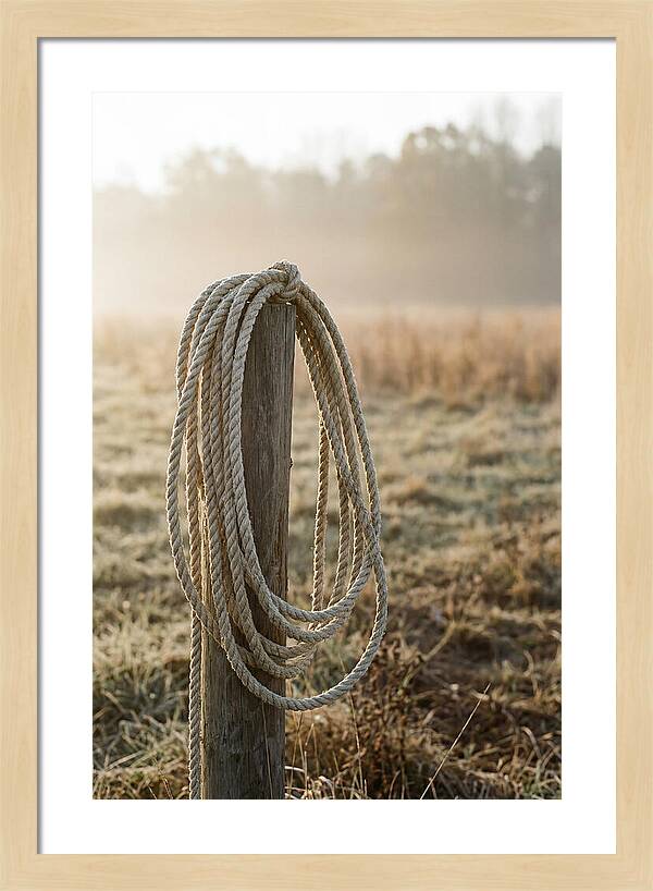 Coiled Rope On Post