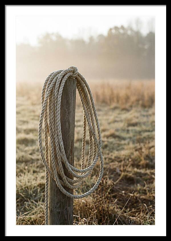 Coiled Rope On Post