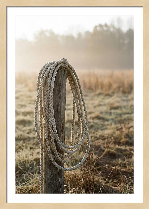 Coiled Rope On Post