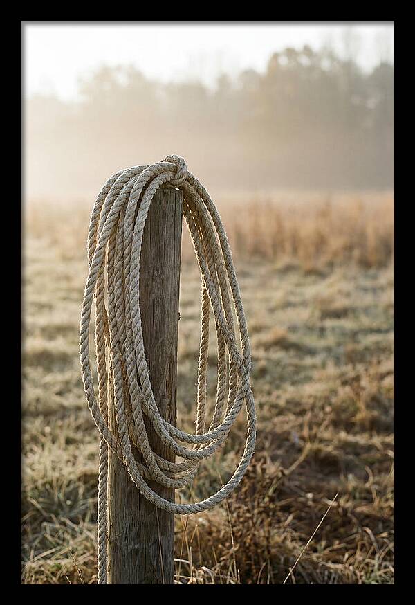 Coiled Rope On Post