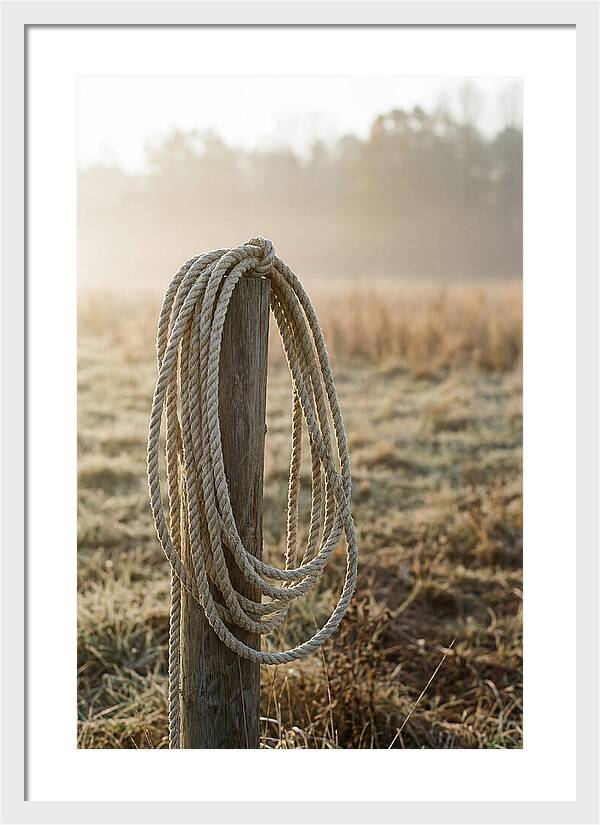 Coiled Rope On Post