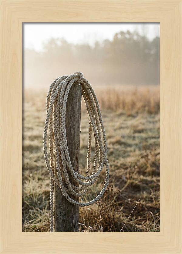 Coiled Rope On Post