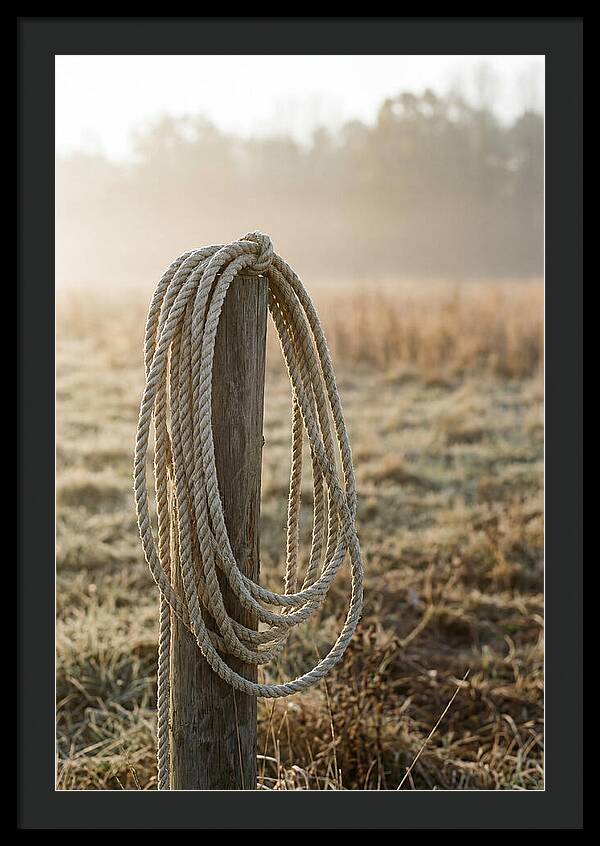 Coiled Rope On Post