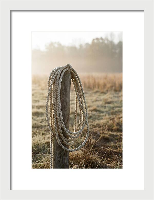 Coiled Rope On Post