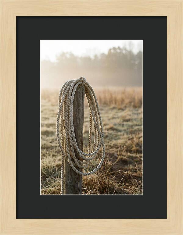 Coiled Rope On Post