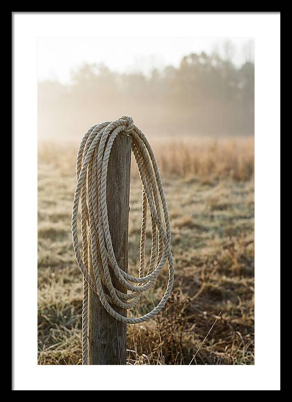 Coiled Rope On Post