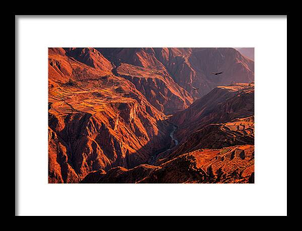 Colca Canyon At Sunrise