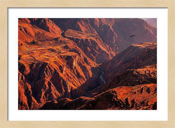 Colca Canyon At Sunrise