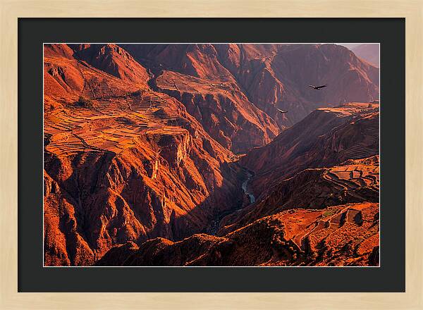Colca Canyon At Sunrise