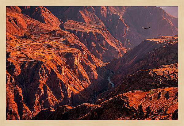Colca Canyon At Sunrise