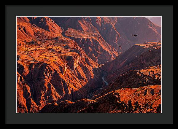 Colca Canyon At Sunrise