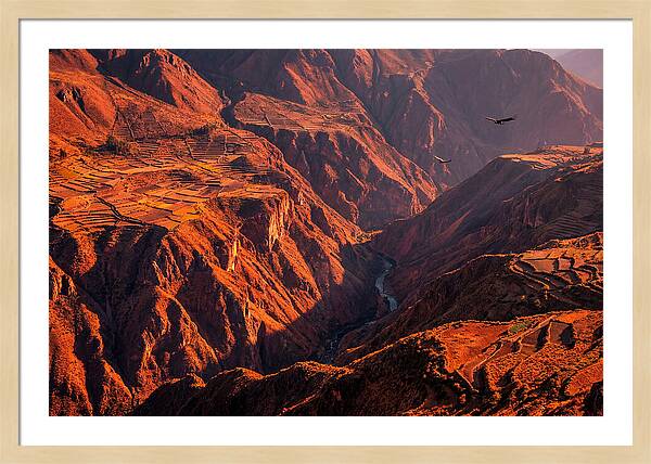 Colca Canyon At Sunrise