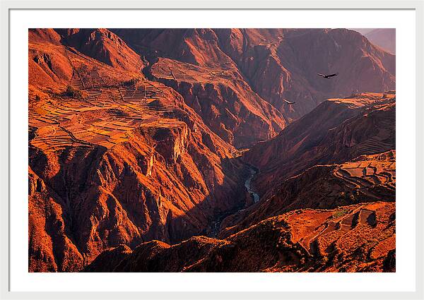 Colca Canyon At Sunrise