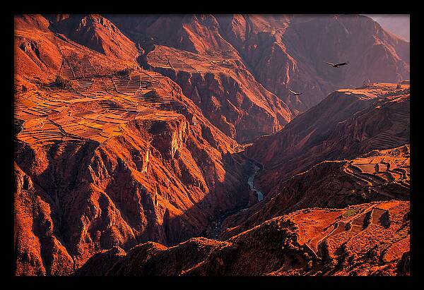 Colca Canyon At Sunrise