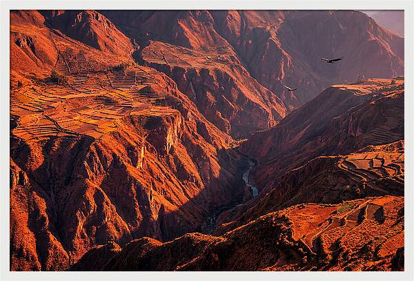 Colca Canyon At Sunrise