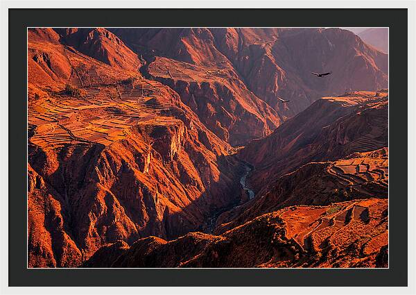 Colca Canyon At Sunrise