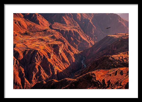 Colca Canyon At Sunrise