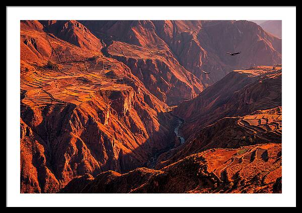 Colca Canyon At Sunrise