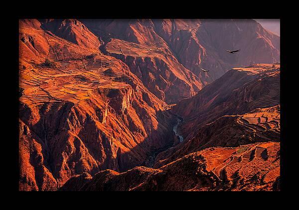Colca Canyon At Sunrise