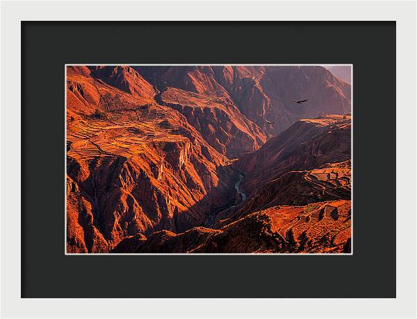 Colca Canyon At Sunrise
