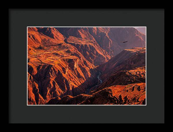 Colca Canyon At Sunrise