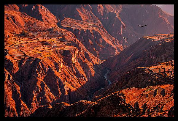 Colca Canyon At Sunrise