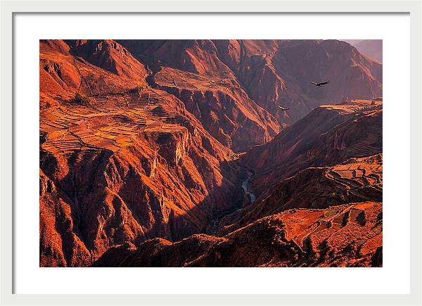 Colca Canyon At Sunrise