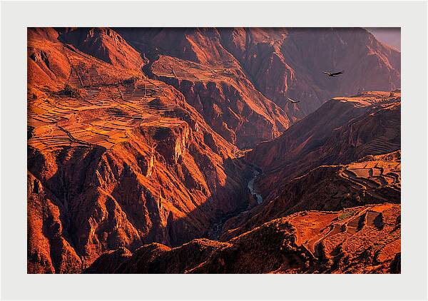 Colca Canyon At Sunrise