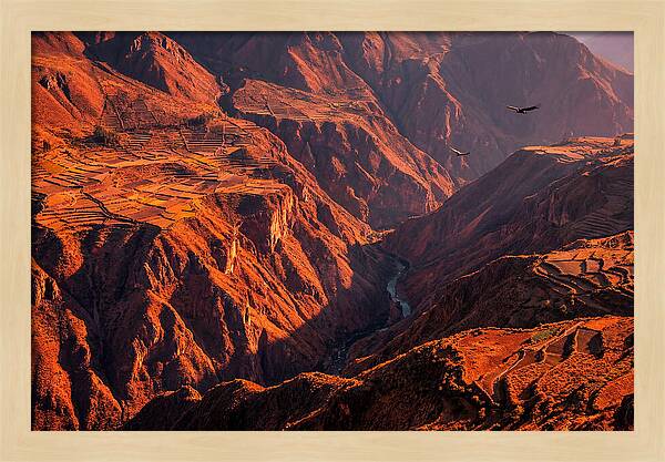 Colca Canyon At Sunrise