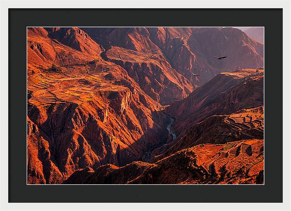 Colca Canyon At Sunrise