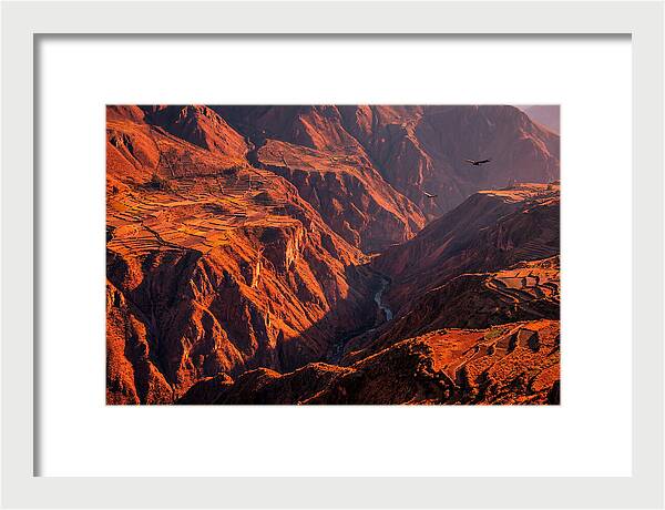 Colca Canyon At Sunrise