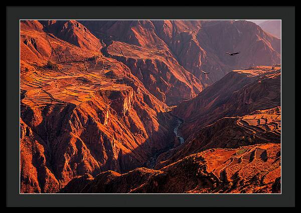 Colca Canyon At Sunrise