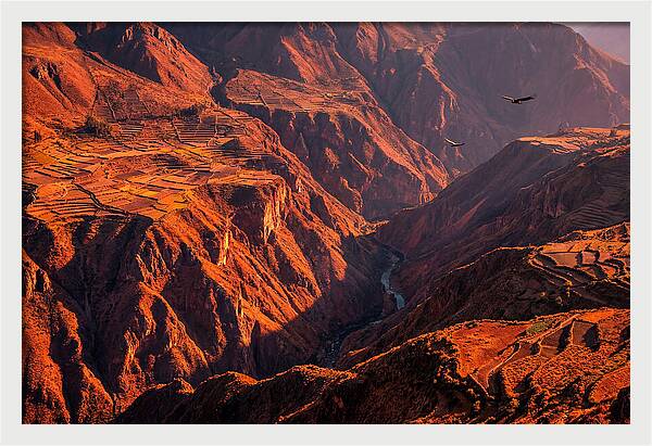 Colca Canyon At Sunrise