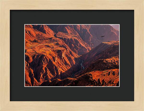 Colca Canyon At Sunrise