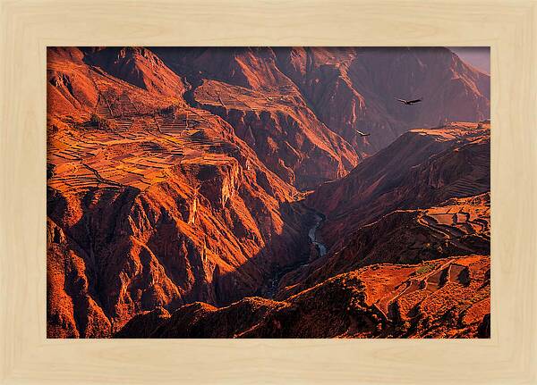 Colca Canyon At Sunrise
