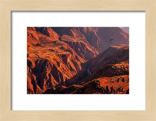 Colca Canyon At Sunrise