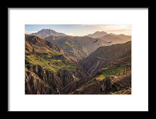 Colca Canyon Majesty