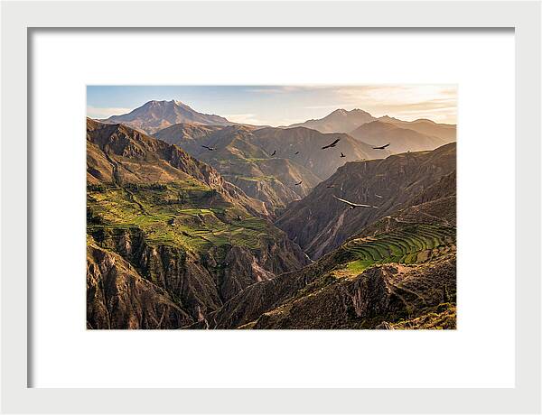 Colca Canyon Majesty