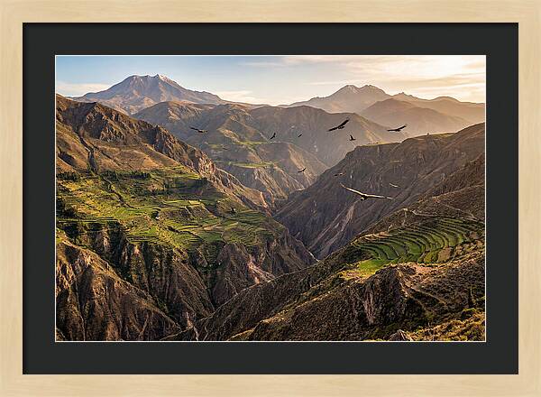 Colca Canyon Majesty