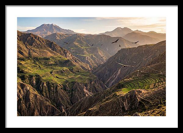 Colca Canyon Majesty
