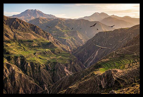 Colca Canyon Majesty