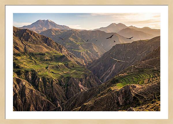 Colca Canyon Majesty
