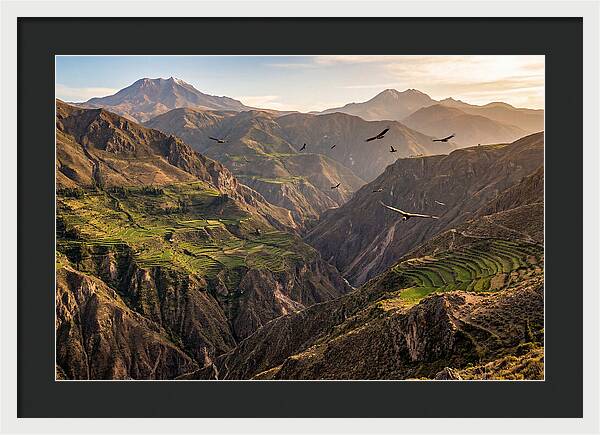 Colca Canyon Majesty