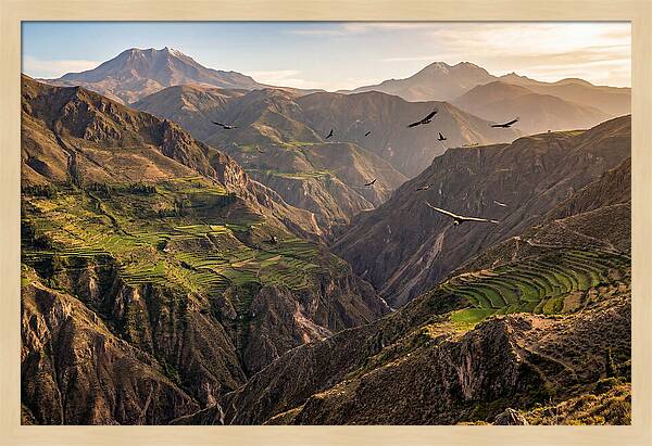 Colca Canyon Majesty
