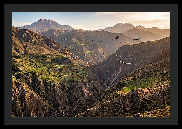 Colca Canyon Majesty