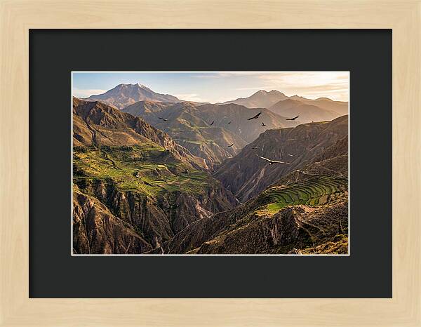Colca Canyon Majesty