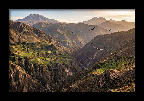 Colca Canyon Majesty