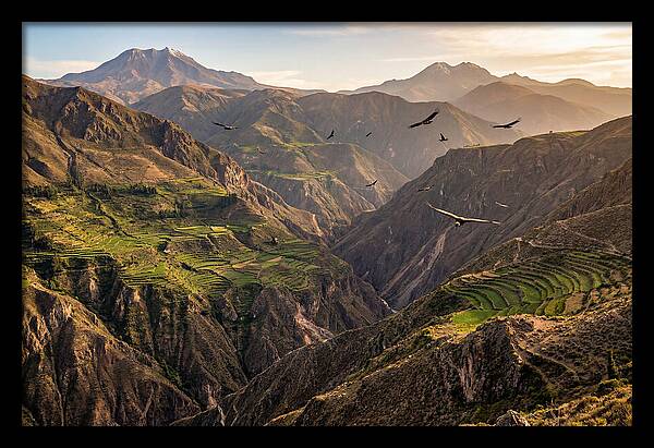 Colca Canyon Majesty