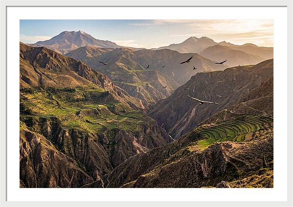 Colca Canyon Majesty