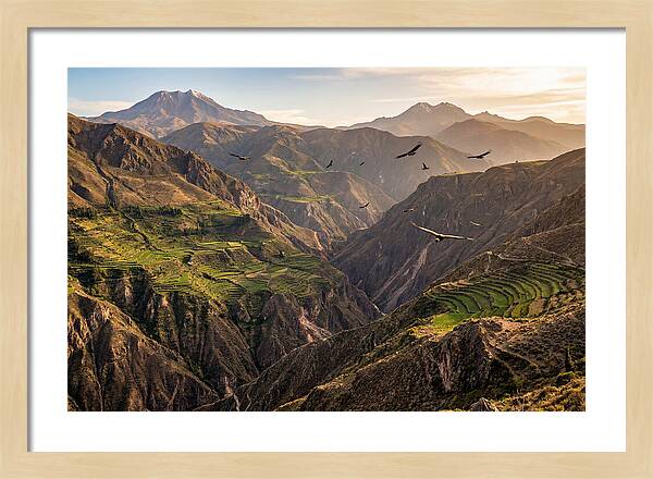 Colca Canyon Majesty